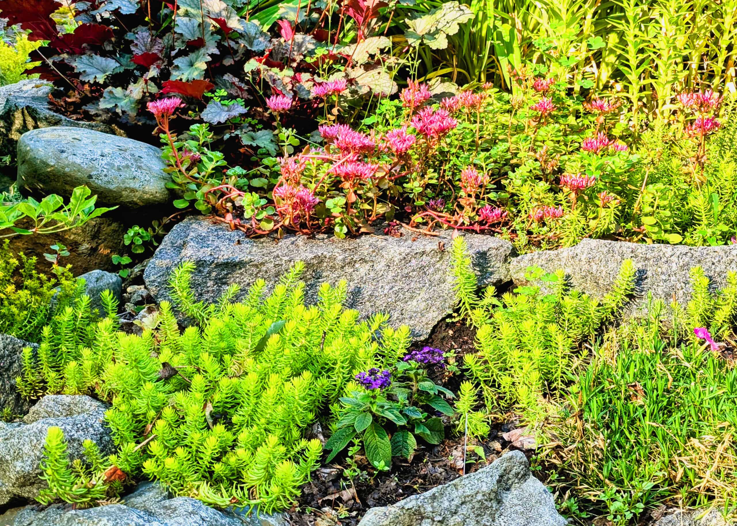 PXL_20250719_121429679~2