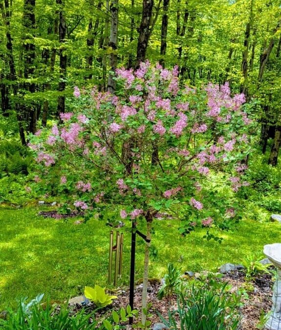 Le jardin donne et reprend