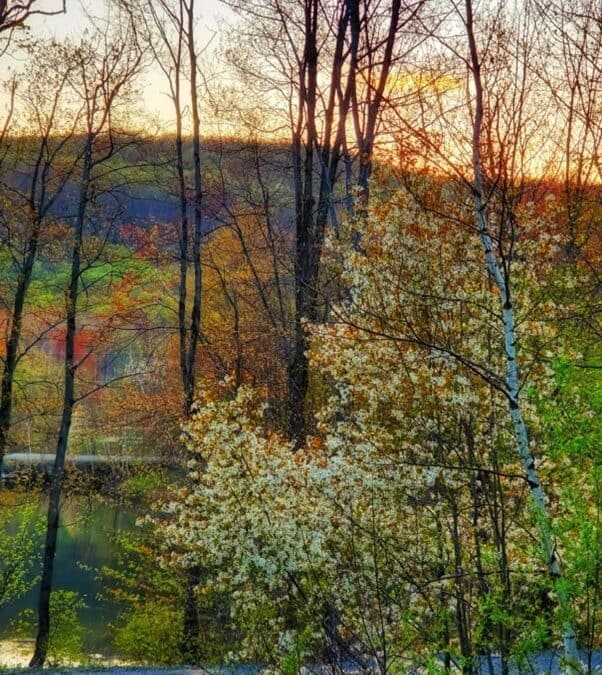 Et si le printemps portait un peu d’automne en lui&nbsp;?