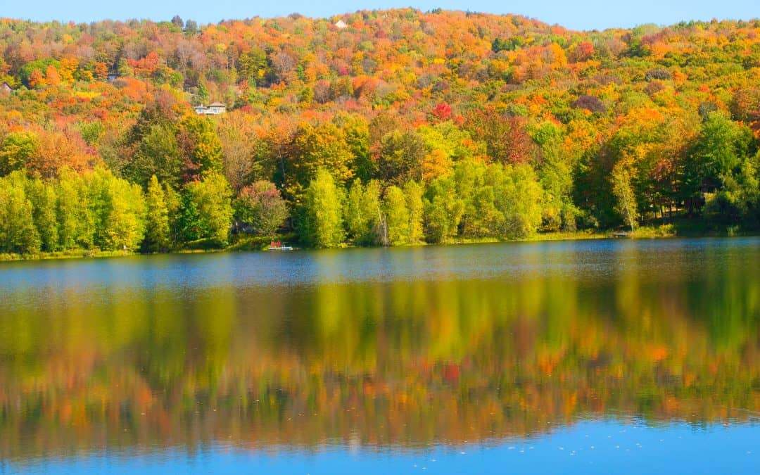 Mono no aware ou la fidélité à l’instant