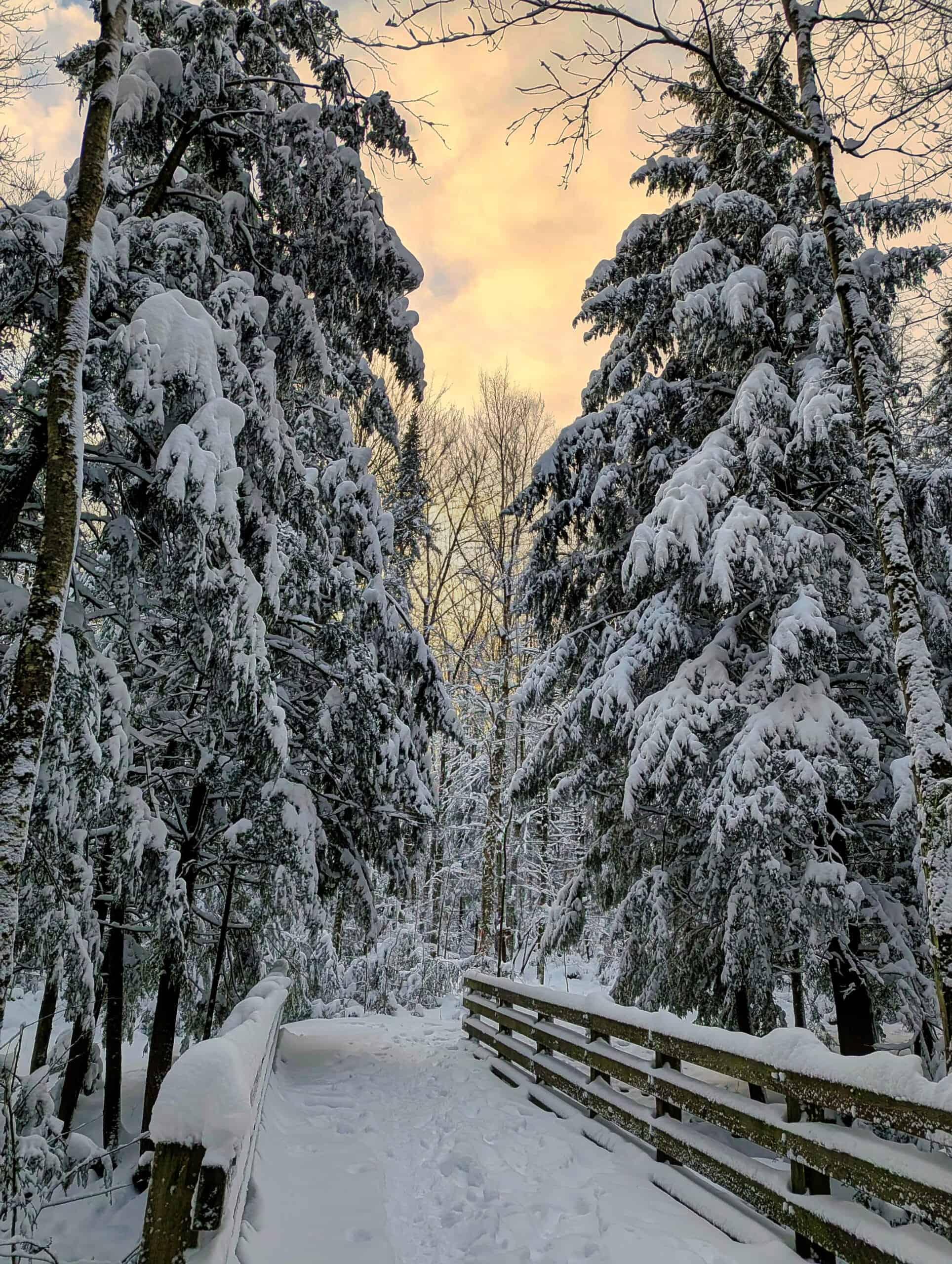 525e6ff4-26ea-408c-8e64-011203c641ad (1)