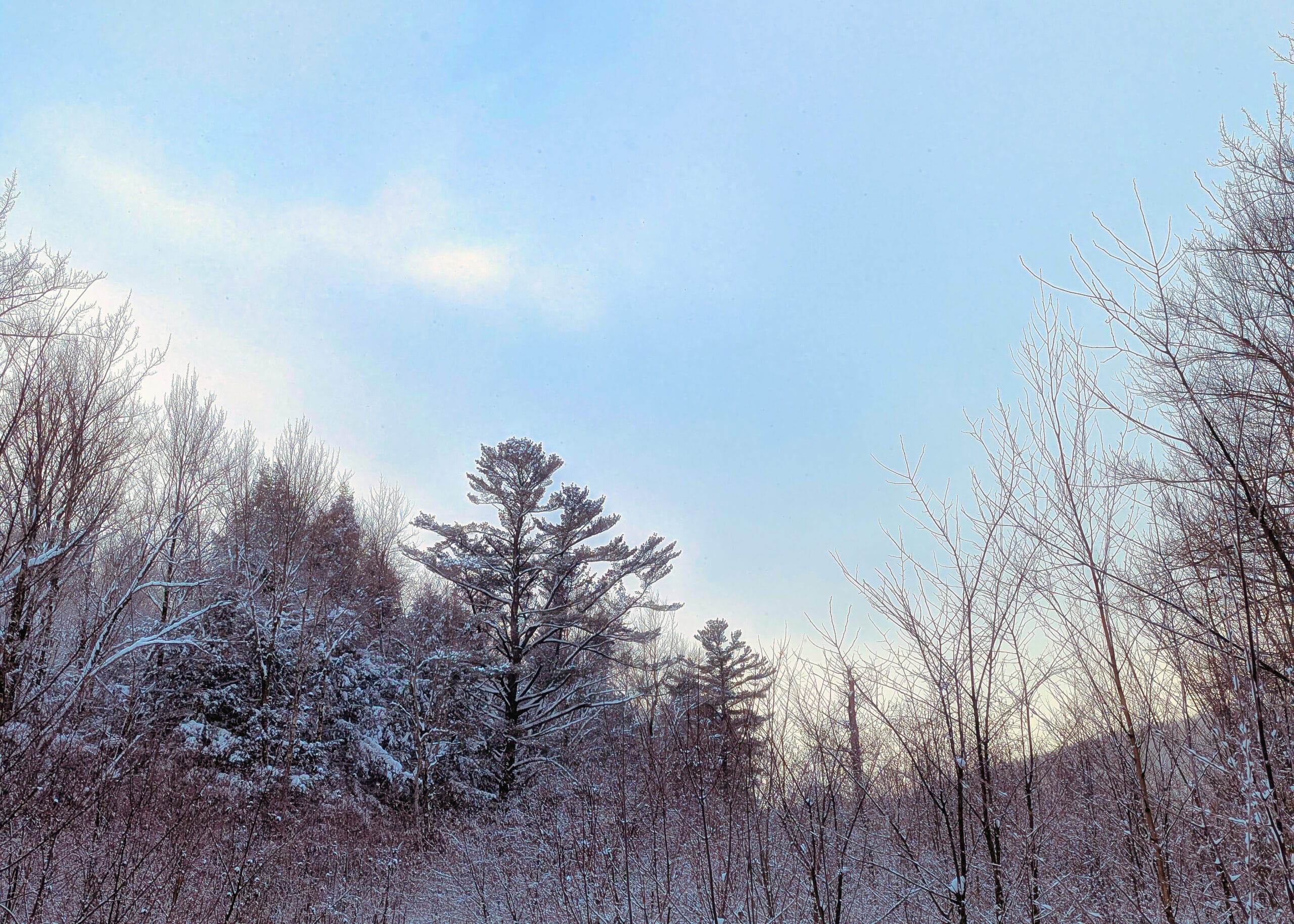 PXL_20260129_134910143