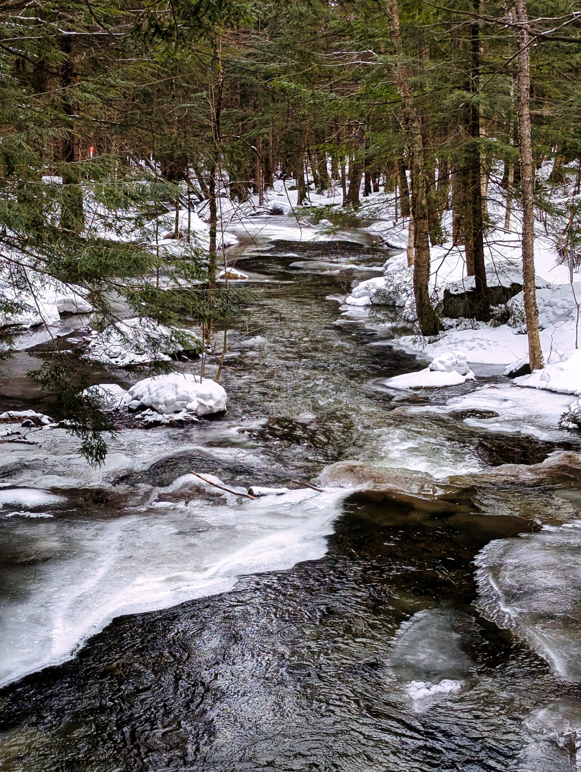 PXL_20260319_122423925